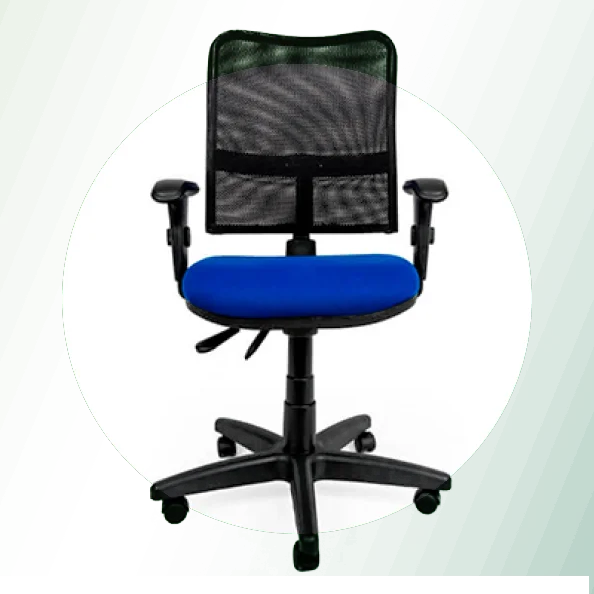 Cadeira Ergonômica