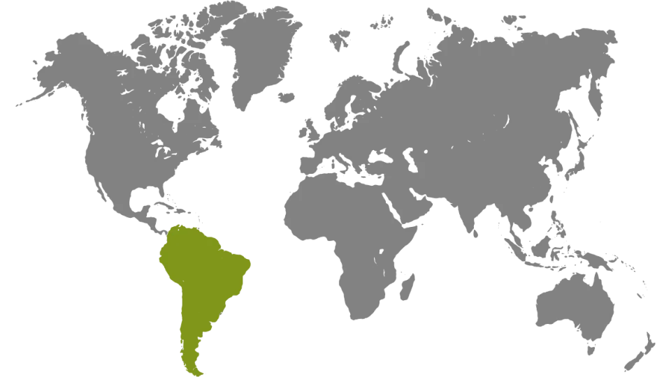 Mapa mundial